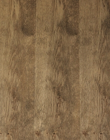 oak lombardei