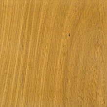 oak colour honey