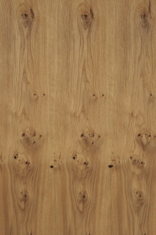 oak rustic natur