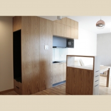 studio kitchen veneered cabinets