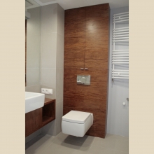 veneered cabinet and wall behind the toilet bowl